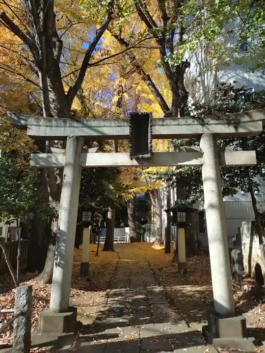 荻窪白山神社(東京都)