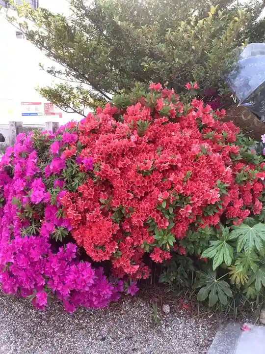 三輪神社の自然