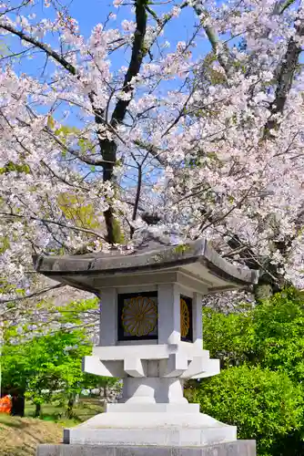 富士山本宮浅間大社(静岡県)