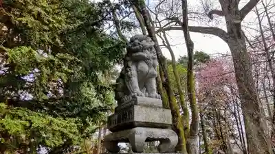 東神楽神社の狛犬
