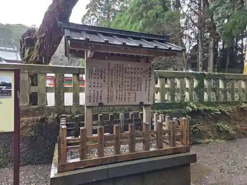 霧島神宮(鹿児島県)