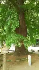 今宮神社の建物その他