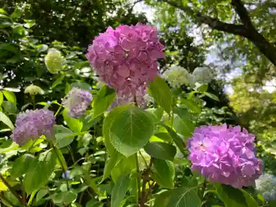 矢田寺(奈良県)