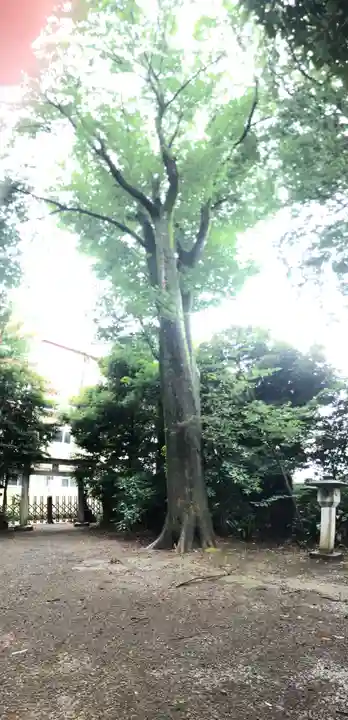 杵築大社のその他建物