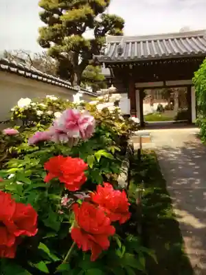 圓照寺(東京都)