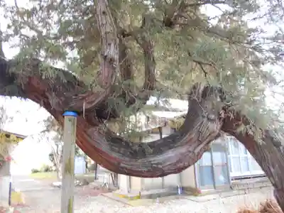 大光寺(福島県)