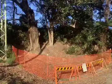 廃社・黒龍大神(愛知県)