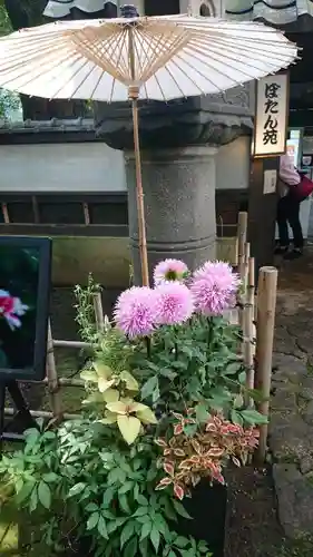 上野東照宮(東京都)