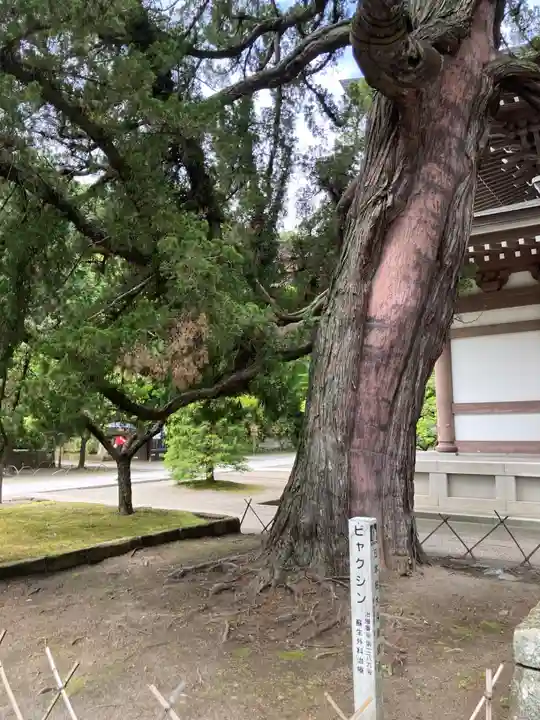 円覚寺(神奈川県)