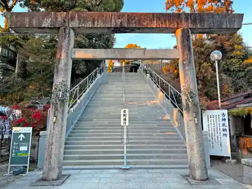 針綱神社の鳥居