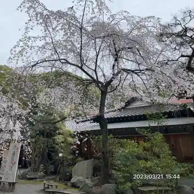 平塚八幡宮(神奈川県)