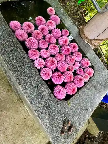 鷺神社(広島県)
