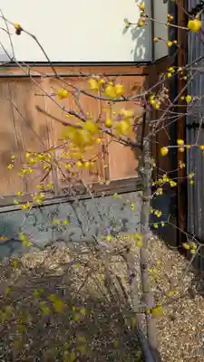 勝林寺(京都府)