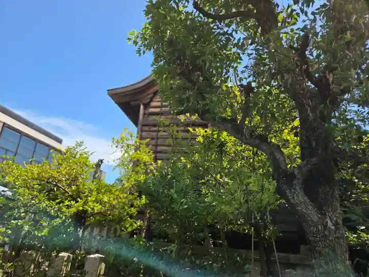 簸川神社(福井県)