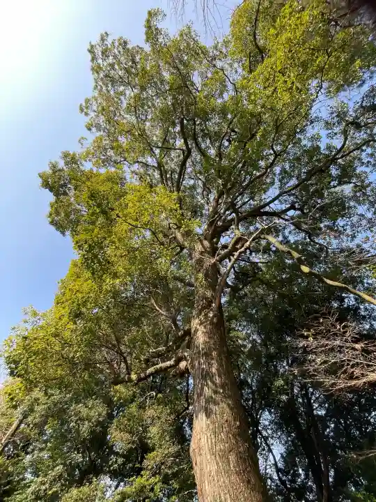 鞆江神社(明地)(愛知県)