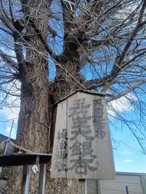 堤治神社の御朱印