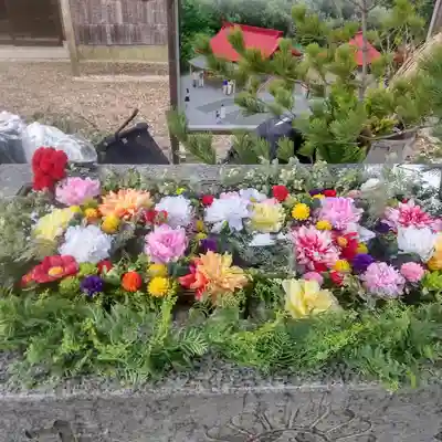 金蛇水神社の手水舎