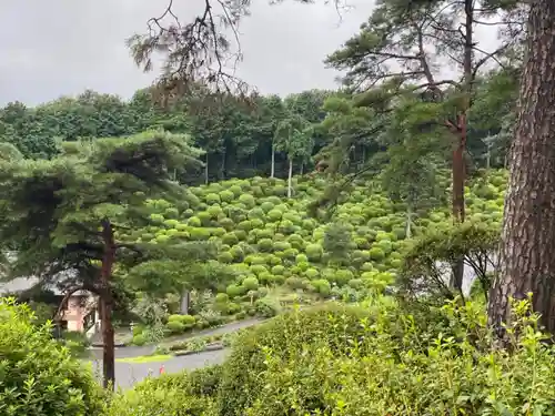 塩船観音寺の庭園