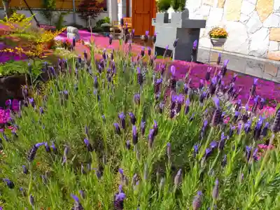 寿量山 速成寺(奈良県)