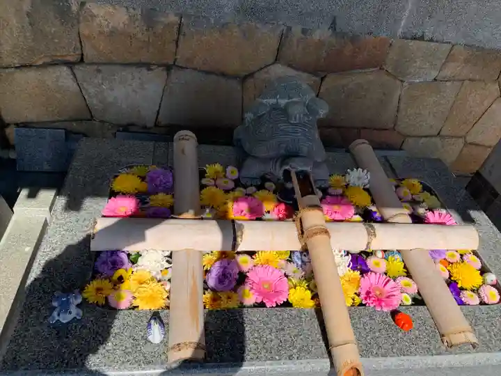 亀山八幡宮の手水舎