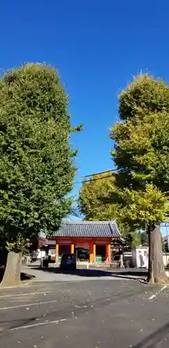 國分寺の山門・神門