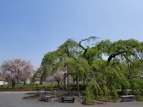 長福寺の庭園