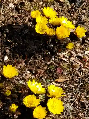 石都々古和気神社(福島県)