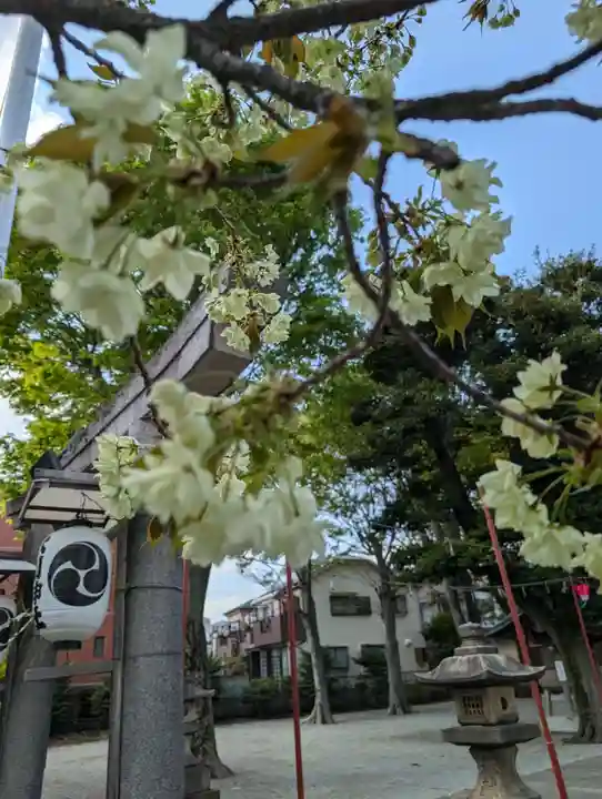 相模原氷川神社(神奈川県)