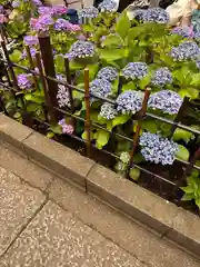 白山神社(東京都)