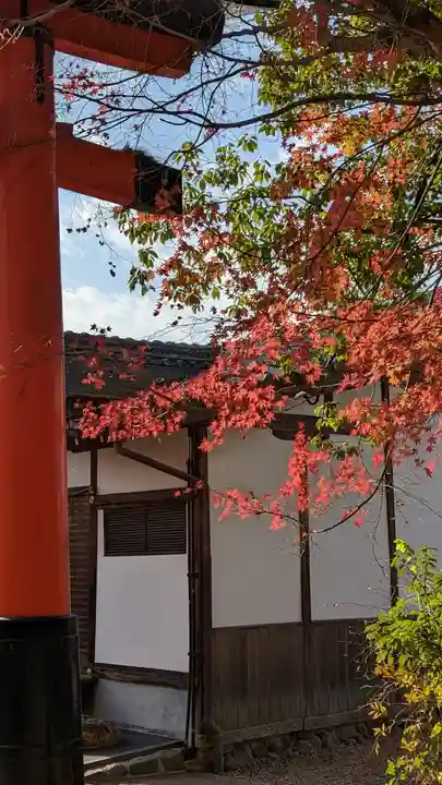 宇治上神社(京都府)