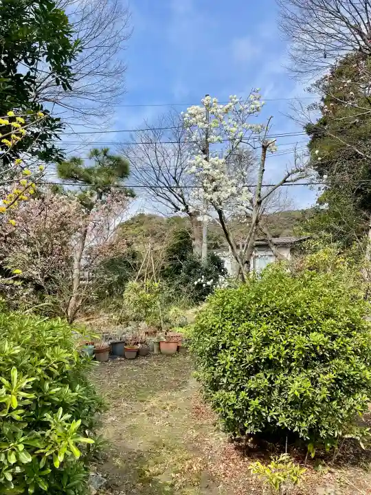 妙法寺の{uncategorized: "未分類", other: "その他", undefined: "問題あり", building: "その他建物", grave: "お墓", sacred_gate: "鳥居", guardian: "狛犬", statue: "像", buddha: "仏像", history: "歴史", nature: "自然", garden: "庭園", animal: "動物", pagoda: "塔", temizu: "手水舎", mountain_gate: "山門・神門", sanctuary: "本殿・本堂", subordinate: "末社・摂社", art: "芸術", scenery: "景色", jizo: "地蔵", ema: "絵馬", goshuin: "御朱印", omikuji: "おみくじ", items: "授与品その他", amulet: "お守り", goshuincho: "御朱印帳", eats: "食事", festival: "お祭り", votive_dance: "神楽", shichigosan: "七五三参", wedding: "結婚式", experience: "体験その他", initially: "初詣", around: "周辺", anti_infection: "感染症対策"}