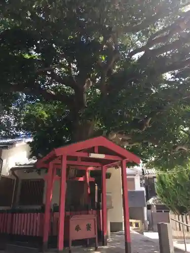 大宮神社の末社