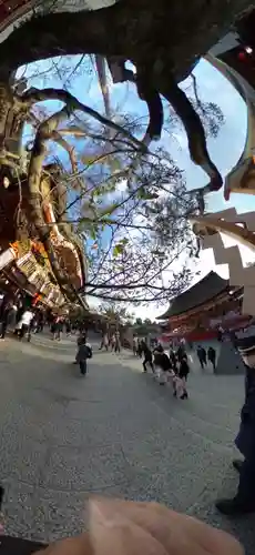 伏見稲荷大社(京都府)