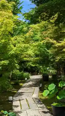 勝林寺のその他建物