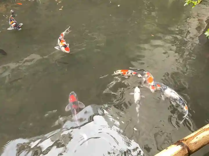 子安神社の庭園