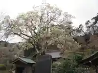 即清寺(東京都)