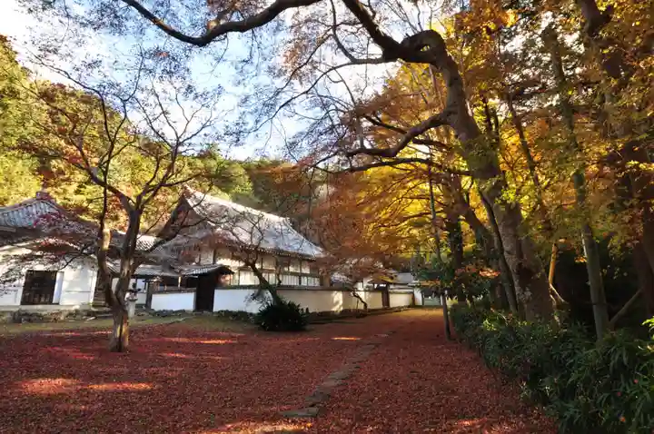 如法寺(愛媛県)