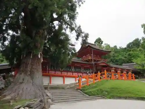 春日大社(奈良県)