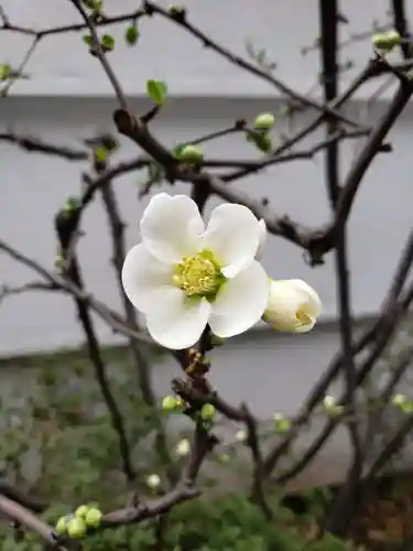 一乗寺(東京都)
