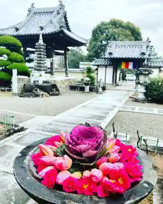 真言宗　善通寺派　薬王寺(香川県)