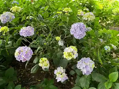 能護寺(埼玉県)