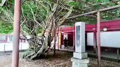 笠間稲荷神社(茨城県)