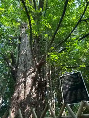 王子神社(東京都)