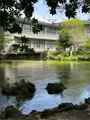 富士山本宮浅間大社(静岡県)