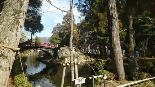 伊太祁曽神社の庭園