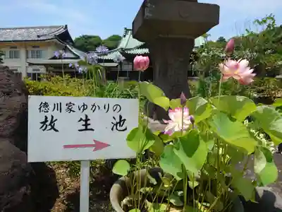 時宗総本山 遊行寺（正式：清浄光寺）(神奈川県)