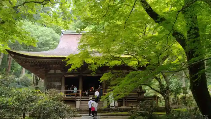 室生寺(奈良県)