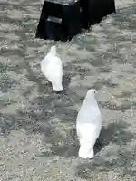 鶴岡八幡宮の動物