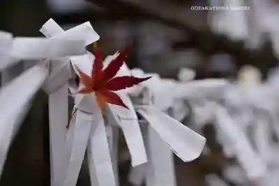 鷲宮神社(埼玉県)