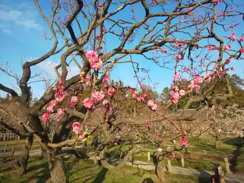 常磐神社の周辺